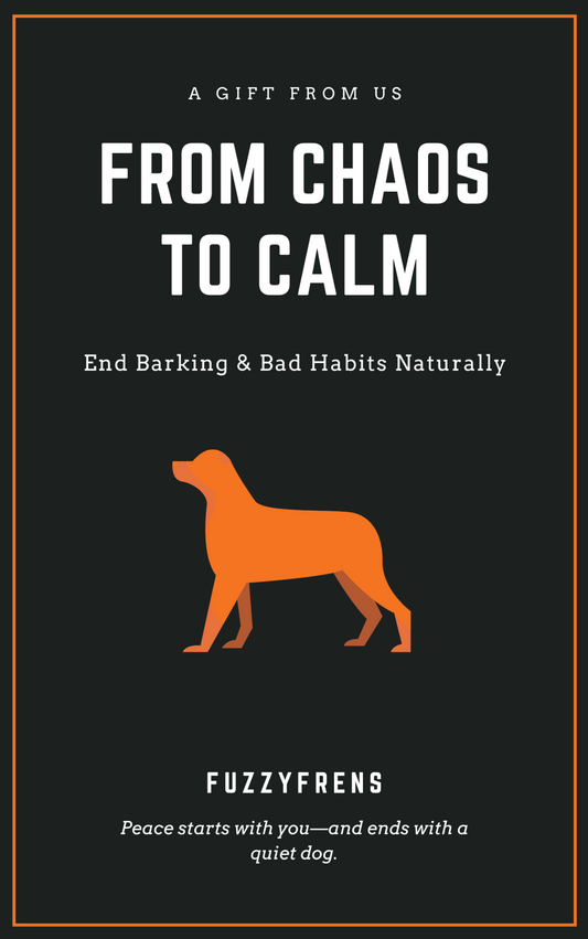 From Chaos to Calm - FuzzyFrens